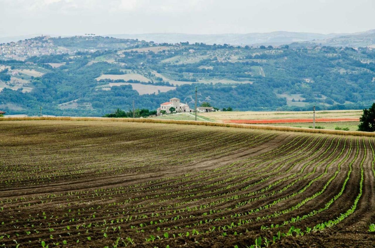 Country Relais La Torretta Baronale ξενώνας San Giorgio del Sannio Εξωτερικό φωτογραφία